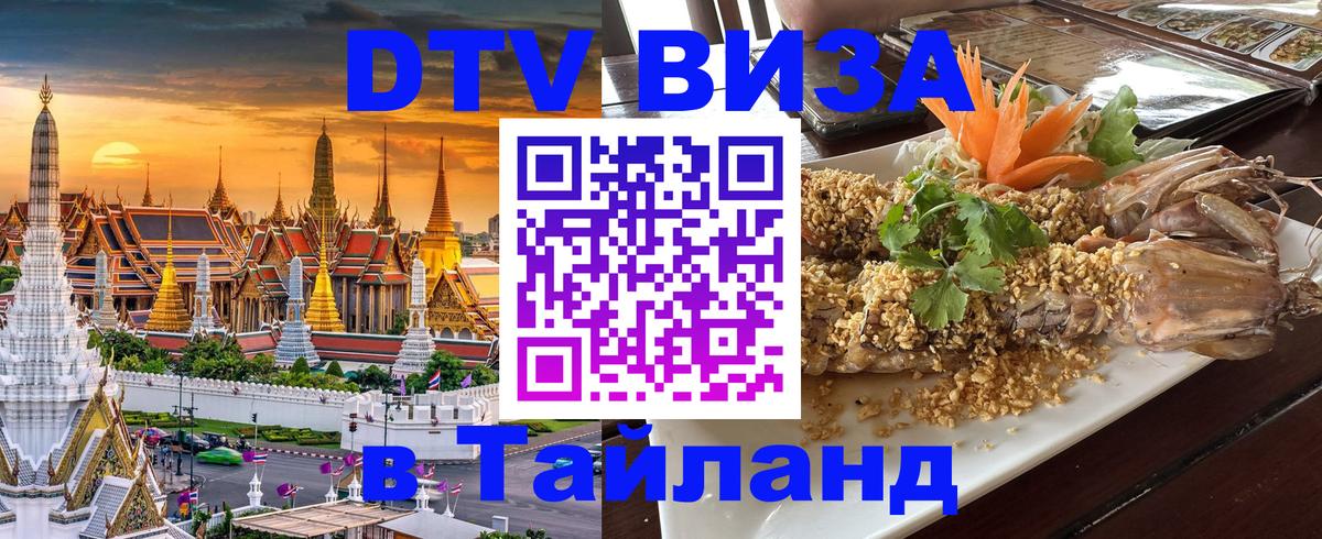 Оформление DTV визы под ключ: стоимость и тарифы, только загранпаспорт - 